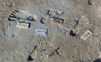 El extraordinario hallazgo que indica que América se pobló miles de años antes de lo que se pensaba