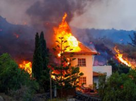El volcán de La Palma se traga un centenar de casas, arrasa cultivos y avanza a 700 metros por hora