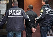 Así operaba la banda de Nueva York que robaba vehículos y los enviaba a República Dominicana