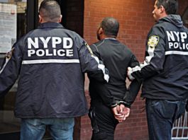 Así operaba la banda de Nueva York que robaba vehículos y los enviaba a República Dominicana