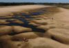 Las impactantes imágenes de la mayor sequía en 77 años del río Paraná, el segundo más largo de Sudamérica