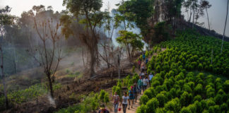 La angustia del regreso