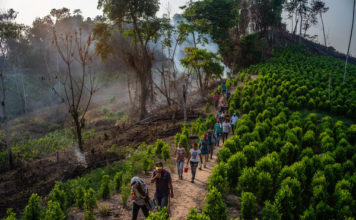 La angustia del regreso