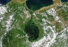 Las imágenes de satélite que muestran cómo el lago Maracaibo se está volviendo verde (y las consecuencias fatales que tiene)