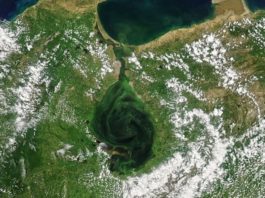 Las imágenes de satélite que muestran cómo el lago Maracaibo se está volviendo verde (y las consecuencias fatales que tiene)
