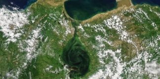 Las imágenes de satélite que muestran cómo el lago Maracaibo se está volviendo verde (y las consecuencias fatales que tiene)