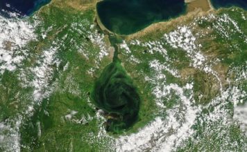 Las imágenes de satélite que muestran cómo el lago Maracaibo se está volviendo verde (y las consecuencias fatales que tiene)