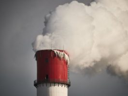 La filtración que revela el lobby de gobiernos por cambiar un informe clave sobre cambio climático antes de la COP26