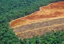 Cambio climático: los 5 países que más han contribuido históricamente al calentamiento global