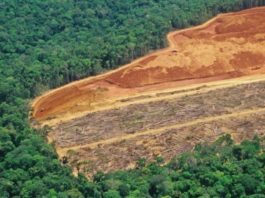 Cambio climático: los 5 países que más han contribuido históricamente al calentamiento global