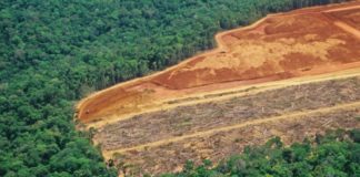 Cambio climático: los 5 países que más han contribuido históricamente al calentamiento global