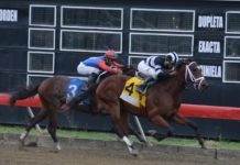 Poolpote en 1.9 millones para programación del sábado en el V Centenario