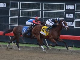 Poolpote en 1.9 millones para programación del sábado en el V Centenario