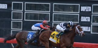 Poolpote en 1.9 millones para programación del sábado en el V Centenario