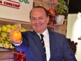 Águilas designan a Ramón Hipólito como su delegado en Santo Domingo