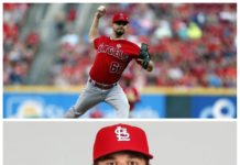 Cole y Warner reforzarán el pitcheo del Licey