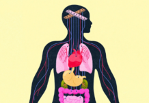 El malestar mental no está solo en nuestra cabeza