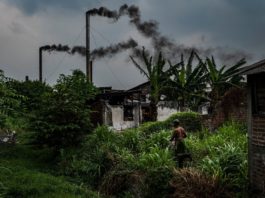 Los países ricos deben asumir el costo si queremos un mundo con cero emisiones netas