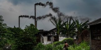 Los países ricos deben asumir el costo si queremos un mundo con cero emisiones netas