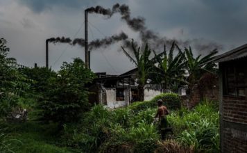 Los países ricos deben asumir el costo si queremos un mundo con cero emisiones netas