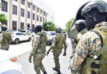 De «Antipulpo» a «Coral 5G», las siete operaciones del MP que buscan desmantelar redes de corrupción