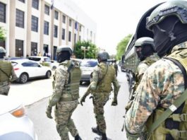 De «Antipulpo» a «Coral 5G», las siete operaciones del MP que buscan desmantelar redes de corrupción