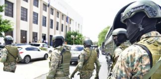 De «Antipulpo» a «Coral 5G», las siete operaciones del MP que buscan desmantelar redes de corrupción