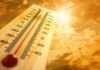 Unas mil millones de personas sufrirían calor extremo