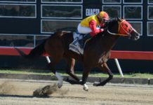 El cuarto elemento y Another Affair tendrán duelo este martes; poolpote del V Centenario en 1.8 millones