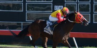 El cuarto elemento y Another Affair tendrán duelo este martes; poolpote del V Centenario en 1.8 millones