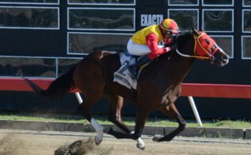 El cuarto elemento y Another Affair tendrán duelo este martes; poolpote del V Centenario en 1.8 millones