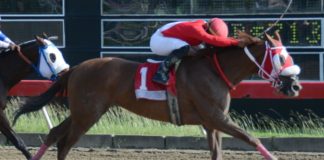 Las Breeders Cup tendrán jugadas en RD