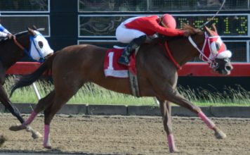 Las Breeders Cup tendrán jugadas en RD