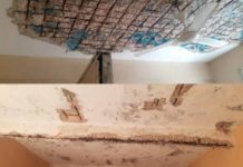 De 10 mil escuelas, incluidas las nuevas, seis mil no resisten un terremoto de gravedad