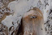 A medida que la Tierra se calienta, la historia de la humanidad se derrite