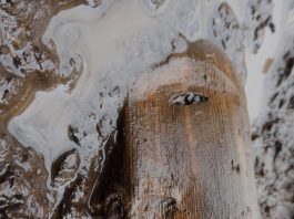 A medida que la Tierra se calienta, la historia de la humanidad se derrite