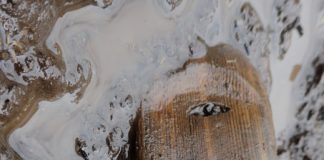 A medida que la Tierra se calienta, la historia de la humanidad se derrite