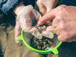 Hay más plásticos que estrellas en la Vía Láctea y te los estás comiendo: cómo impactan en la salud