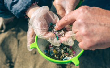 Hay más plásticos que estrellas en la Vía Láctea y te los estás comiendo: cómo impactan en la salud