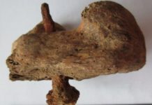 Encuentran la «mayor evidencia hasta el momento» de una crucifixión en Reino Unido de la época roma