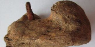 Encuentran la «mayor evidencia hasta el momento» de una crucifixión en Reino Unido de la época roma