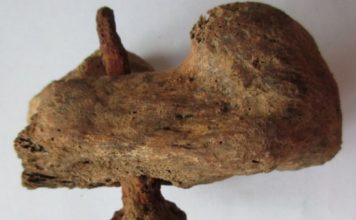 Encuentran la «mayor evidencia hasta el momento» de una crucifixión en Reino Unido de la época roma