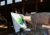Pigcasso, una reconocida cerda pintora, se convierte en la artista animal mejor cotizada de la historia tras vender un cuadro por 27.000 dólares