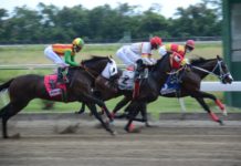 Clásico Año Nuevo y tres millones en el poolpote este 1ro de enero en el V Centenario