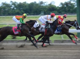 Clásico Año Nuevo y tres millones en el poolpote este 1ro de enero en el V Centenario