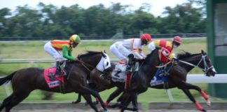 Clásico Año Nuevo y tres millones en el poolpote este 1ro de enero en el V Centenario