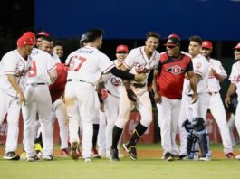 Leones presentan su listado de peloteros protegidos