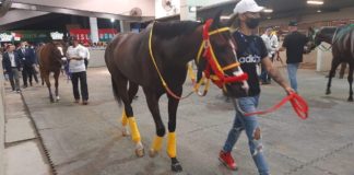 Ingeniero Collado llega segundo en el Clásico Internacional Del Caribe