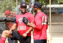 Paulino sustituye a Linares como dirigente de los Leones