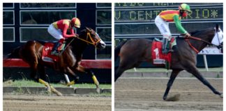 Cuatro dominicanos participarán contra lo mejor del Caribe; carreras serán transmitidas en RD